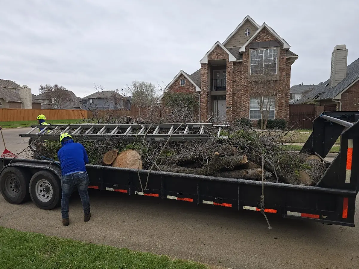 Expert Lot Clearing with proper safety equipment in Pomeroy